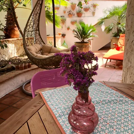 Casa Violetta Appartement